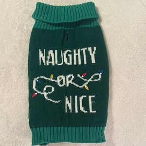 Green Naughty or Nice Dog Sweater